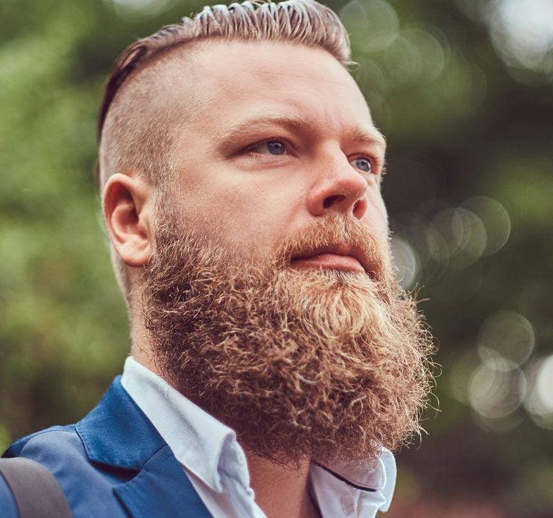 barba riccia