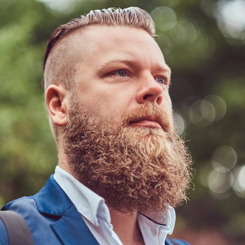 barba riccia
